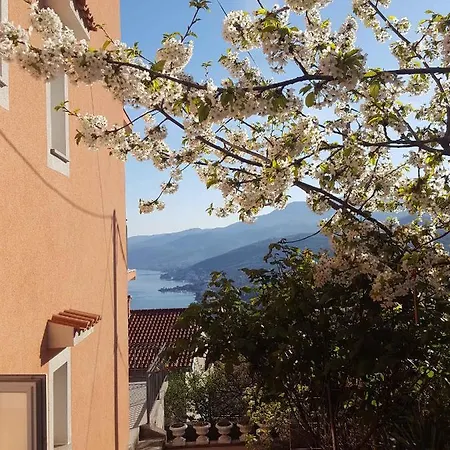 In 17036 Apartment *